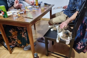 Budapest : Atelier de peinture acrylique au Musée du Chat de Budapest