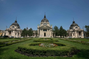 Budapest: All in One Walking Tour with Strudel House Stop