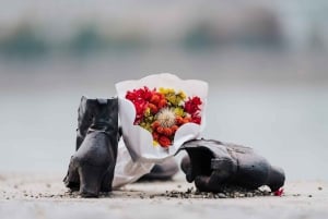 Destaques de Budapeste e passeio histórico a pé