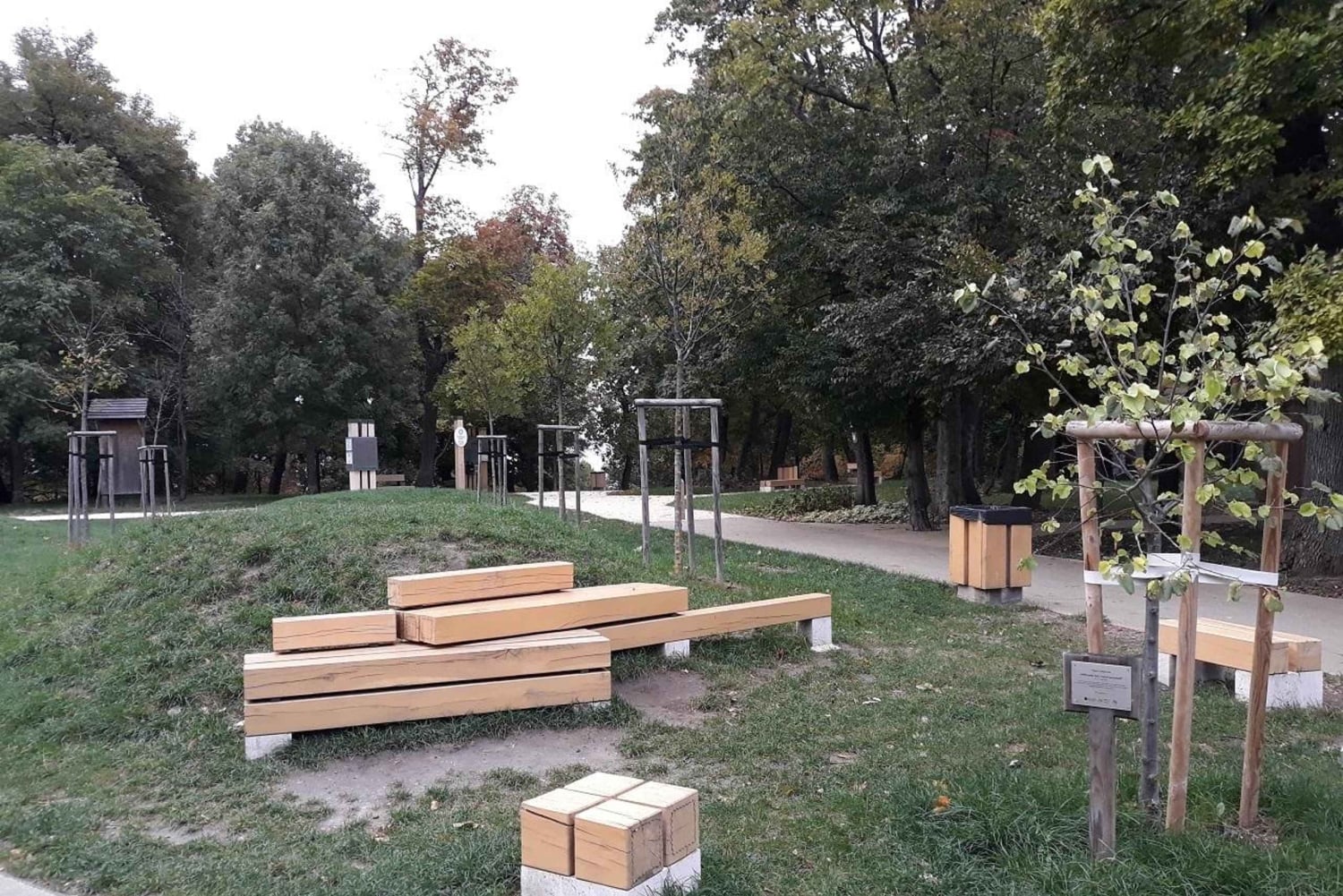 Budapest all'alba: tour panoramico a piedi con spettacolo musicale