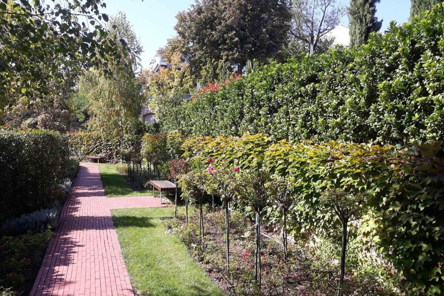 Budapest: Best Gardens Walking Tour & Folk Music Performance