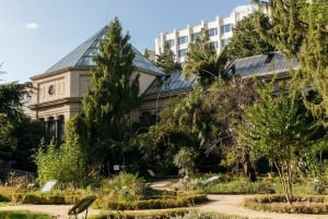 Budapest: Best Gardens Walking Tour & Folk Music Performance