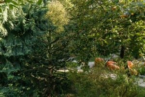 Budapest: Best Gardens Walking Tour & Folk Music Performance