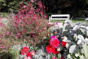 Budapeste: Visita a pé aos melhores jardins e música popular húngara