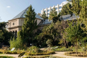 Budapeste: Visita a pé aos melhores jardins e música popular húngara