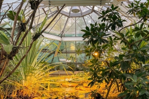 Budapeste: Visita a pé aos melhores jardins e música popular húngara