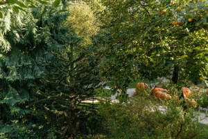 Budapeste: Visita a pé aos melhores jardins e música popular húngara