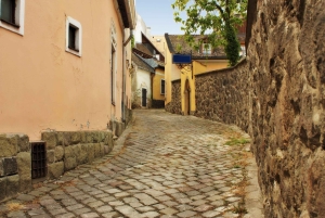 Boedapest: fietstocht naar de stad van schilders, Szentendre