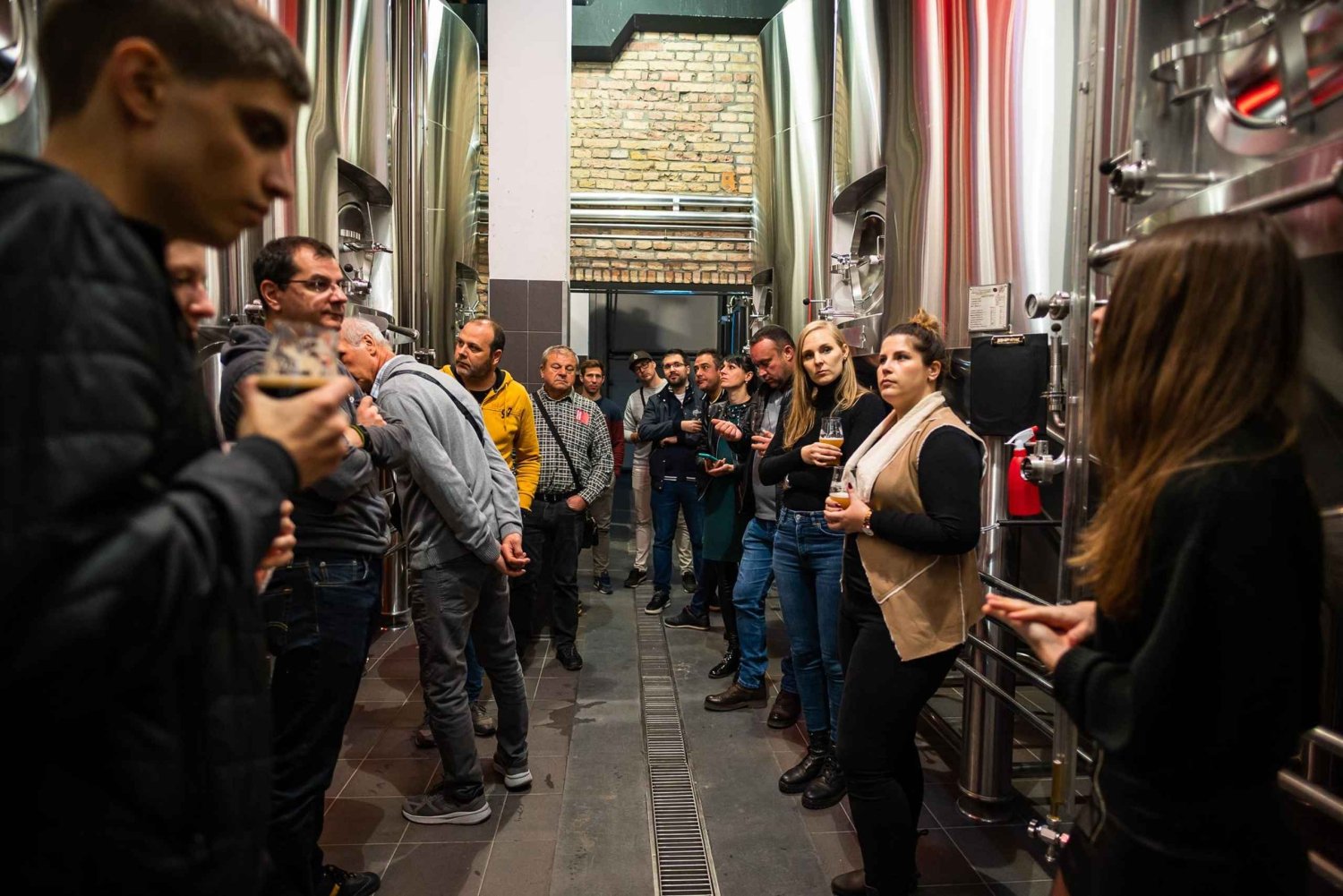 Budapest: Brewery Tour at 'First Craft Beer' & Beer Tasting