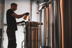 ブダペストファースト・クラフト・ビール 'での醸造所見学とビールの試飲
