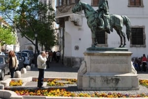Budapeste: Excursão a pé particular ao Castelo de Buda