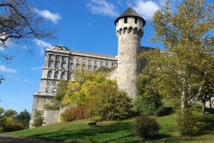 Budapeste: Excursão a pé particular ao Castelo de Buda