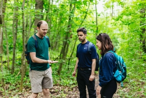 Budapest: Geführte Wanderung durch die Budaer Berge mit optionalem Mittagessen