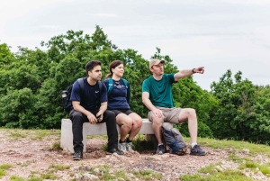Budapest: Geführte Wanderung durch die Budaer Berge mit optionalem Mittagessen