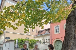 Budapest: Guidad vandringstur i Buda