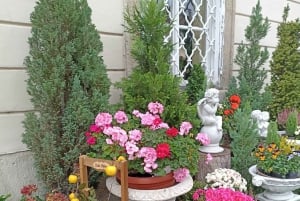 Budapest: Guidad vandringstur i Buda