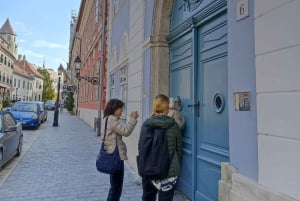 Budapest: Guidad vandringstur i Buda