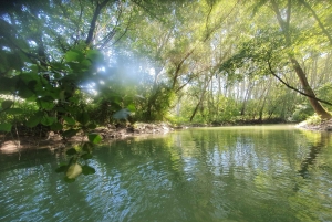 Budapest: Canoeing the Danube w or wo Sauna or Danube Beach