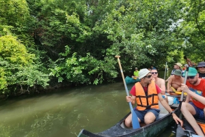 Budapest: Canoeing the Danube w or wo Sauna or Danube Beach
