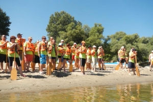 Budapest: Canoeing the Danube w or wo Sauna or Danube Beach