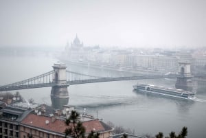 Budapest: hop-on hop-off-kryssning på dagen med välkomstdrink