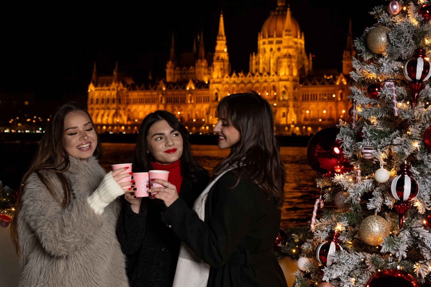Budapest: Julemarkedscruise med én drink
