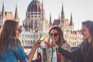 Budapest: Downtown Budapest Unlimited Booze Cruise