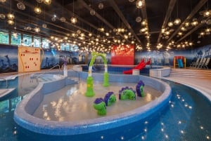 Boedapest: toegangsbewijs voor de Csillaghegyi Árpád-thermaalbaden