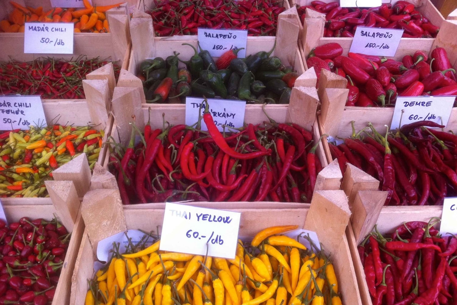 Budapestin kulinaarinen ja viinikierros – Budapestin tunnetuin ruokakierros