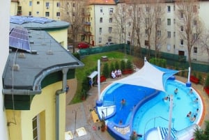 Budapest: Entrada de día completo a las Termas de Dandar