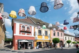 Budapest: Ganztägiger Ausflug zum Donauknie