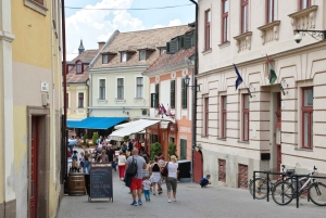 Budapest: gita di un giorno all'Ansa del Danubio