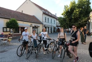 Budapest: Danube Bend Sunset E-bike Tour to Szentendre