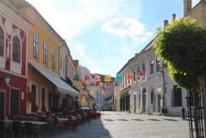 Budapest: Danube Bend Sunset E-bike Tour to Szentendre