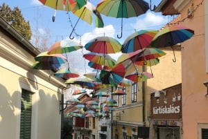 Budapest: Danube Bend Sunset E-bike Tour to Szentendre