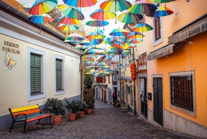 Budapest: Danube Bend Sunset E-bike Tour to Szentendre