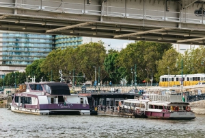 Budapest: Danube River City Lights Express Cruise