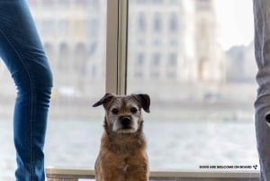 Budapest: Nighttime or Daytime City Sightseeing Cruise