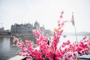 Boedapest: hop-on-hop-off-rondvaart overdag met welkomstdrankje