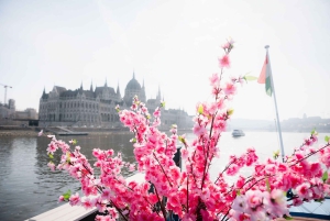 Budapest: hop-on hop-off-kryssning på dagen med välkomstdrink