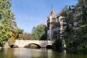 Будапешт: билет в синагогу Дохань с прогулкой по городу с приложением