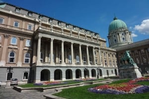 Будапешт: билет в синагогу Дохань с прогулкой по городу с приложением