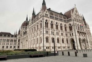 Будапешт: билет в синагогу Дохань с прогулкой по городу с приложением