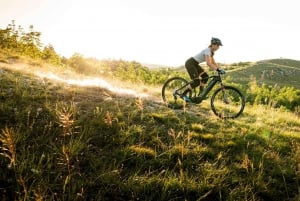 Budapest Peaks: Off-Road eBike Tour