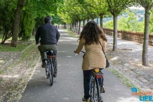 Budapest: E-Bike Guided Tour and Castle Hill