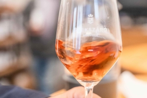 ブダペスト：ストリートフードとワインの食の旅、16歳以上対象の試飲ツアー