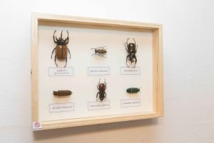 Budapest : Escape Room game, Secret Surgery