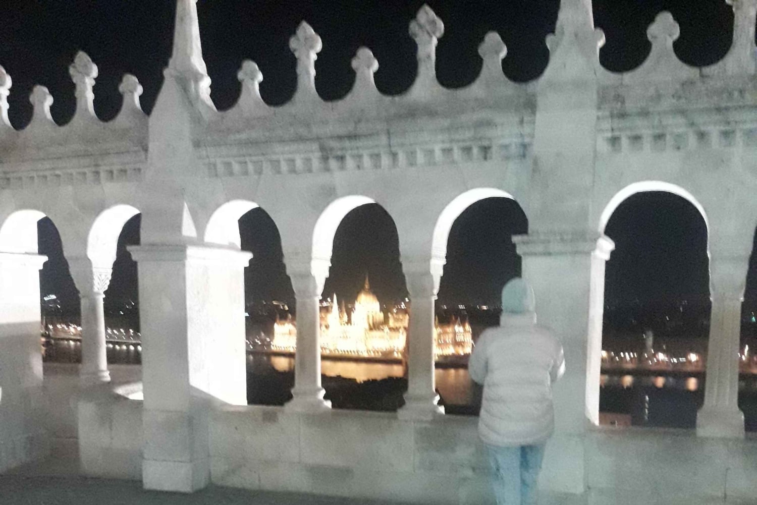 Будапешт: Вечерняя экскурсия на Замковый холм с Рыбацким бастионом