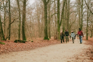 Budapest: Eksoalustalla varustettu luontovaellus