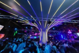 Boedapest: ontdek iconische bars tijdens een wandeling met gids bij de ruïnebar